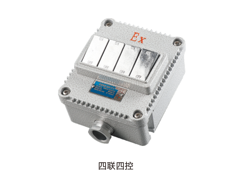 sw-II 系列防爆(墻壁)照明開關(ExtD)